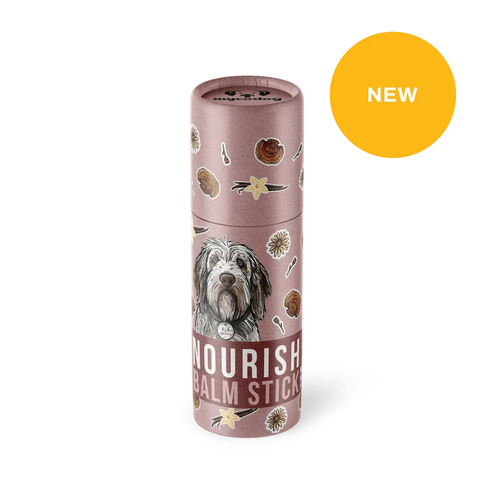 Nourish Balm Stick for Dogs | CBD + Reishi for Skin + Paw Care