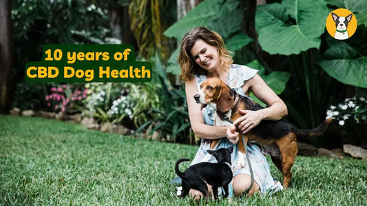 10 Years of CBD Dog Health: 10 Years of Supporting Pets Naturally