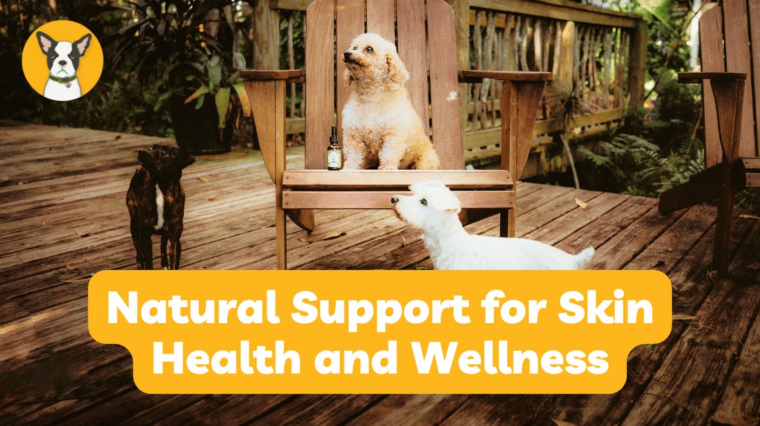 Natural Support for Skin Health and Wellness