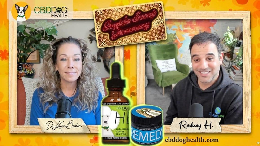 Forever Dog Rodney Habib Dr Karen Becker Recommend CBD Dog Health on Planet Paws FB Live Blog Featured Image