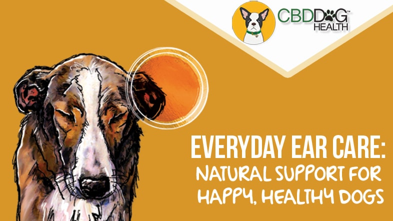 Everyday Ear Care: Natural Support for Happy, Healthy Dogs
