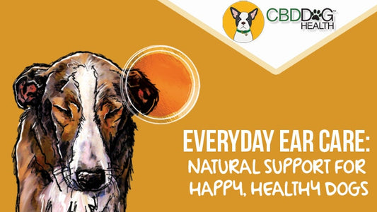 Everyday Ear Care: Natural Support for Happy, Healthy Dogs