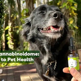 the endocannabinoidome holistic whole body pet health ecbome
