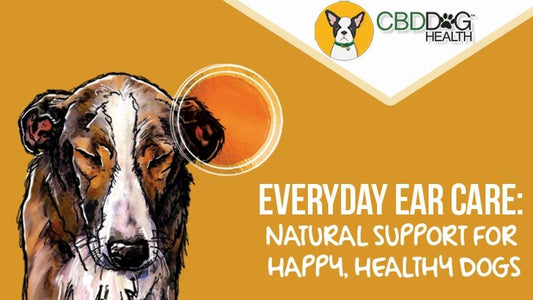 Everyday Ear Care: Natural Support for Happy, Healthy Dogs