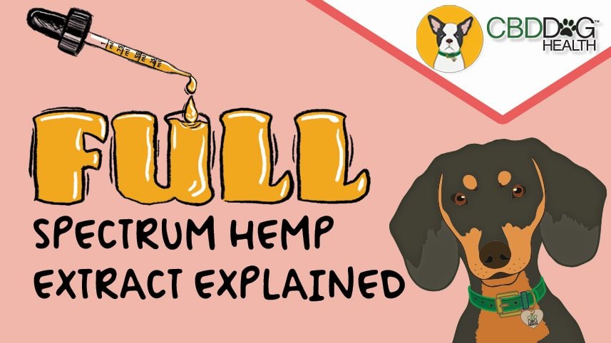 Full Spectrum Hemp Extract Explained