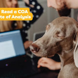 how to read a coa cbd certificate of analysis