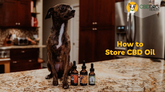 How to Store CBD Oil: Tips for Keeping Your Product Fresh