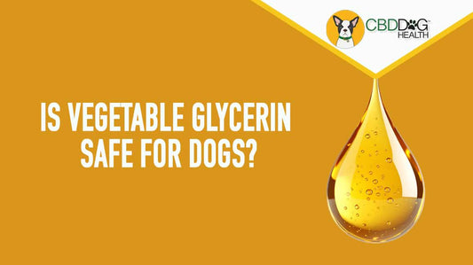 Is Vegetable Glycerin Safe for Dogs?