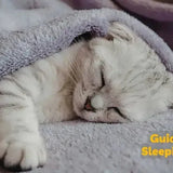 cat sleeping habits why do cats sleep so much how much do cats sleep