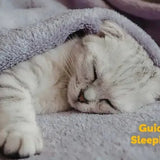 cat sleeping habits why do cats sleep so much how much do cats sleep