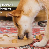 dog enrichment ideas for bored restless dogs high energy calm cbd