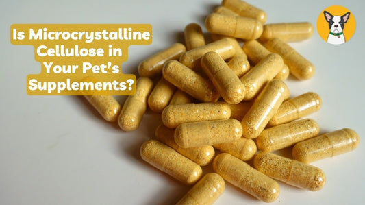 what is microcrystalline cellulose and why is it in pet supplements