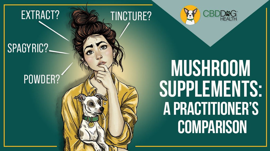 mushroom extract tinctures vs powders mushroom supplements for dogs pet mushroom extracts
