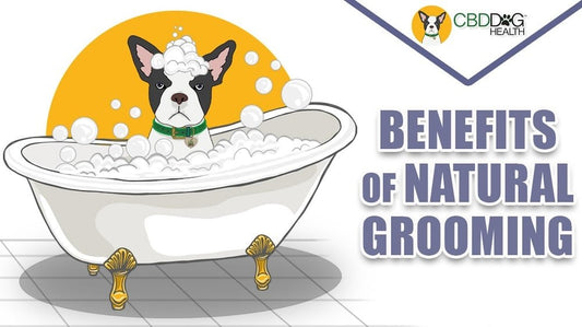 The Benefits of Natural Grooming Products for Pets