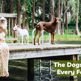 The Real Dogs Behind Every Formula