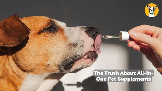 the truth about all in one pet supplements