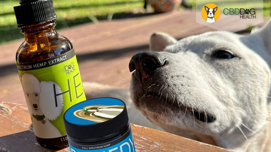 Sebaceous Adenomas in dogs cbd for adenomas hemp for adenomas power duo heal and remedy cbd dog health