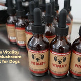Why Vitality Is a True 20-in-1 (and What That Actually Means)