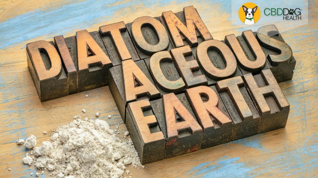 diatomaceous earth for dogs diatomaceous earth for fleas livestock yard pest control parasites pets