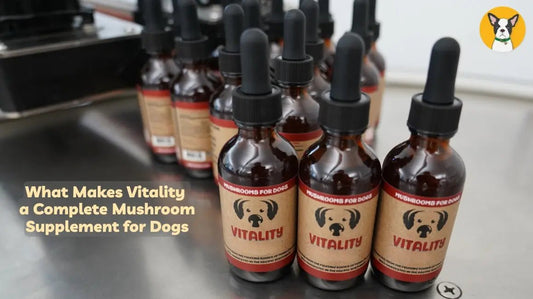 Why Vitality Is a True 20-in-1 (and What That Actually Means)