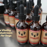 Why Vitality Is a True 20-in-1 (and What That Actually Means)