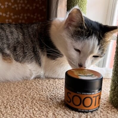 Topical CBD for Cats