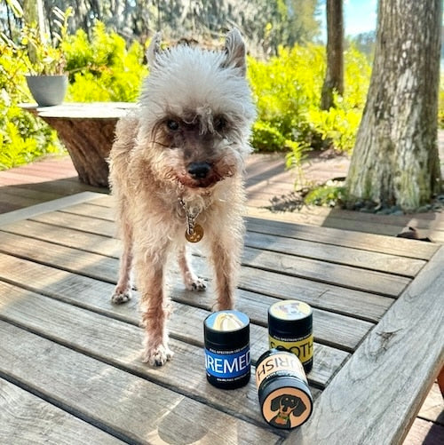 CBD Salve for Dogs