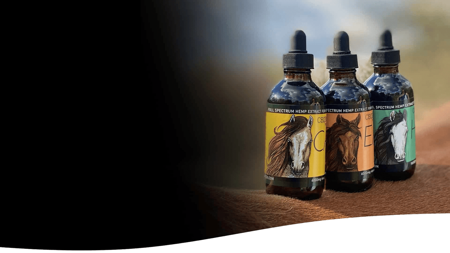CBD for Horses