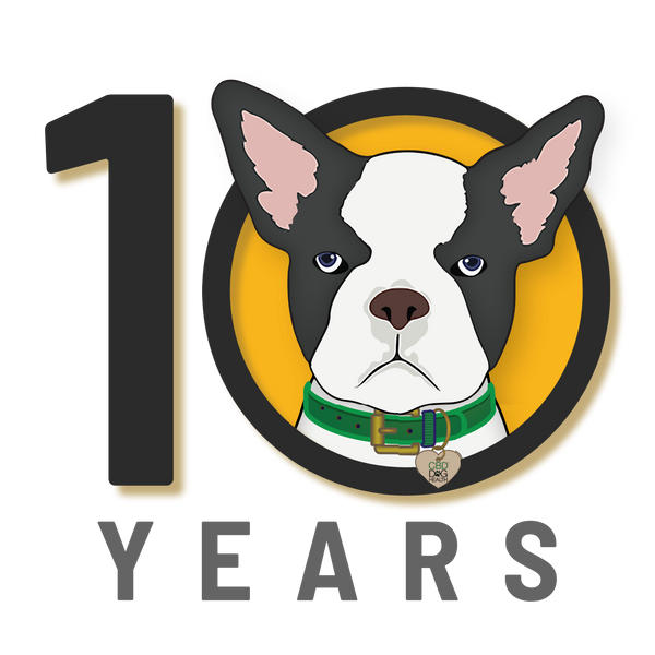 CBD Dog Health