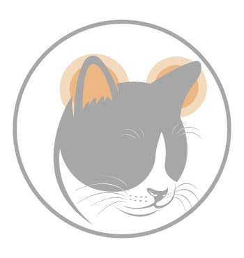 Administer CBD oil dosage for cats - administer to ears
