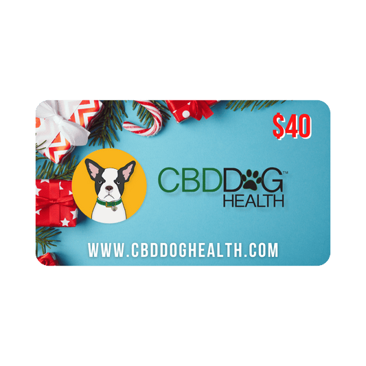 Christmas Gift Card 40