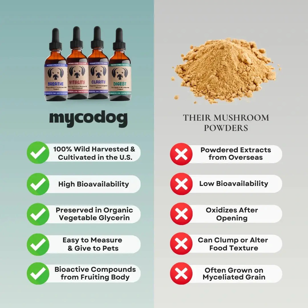 MycoDog Turkey Tail: Immune Health