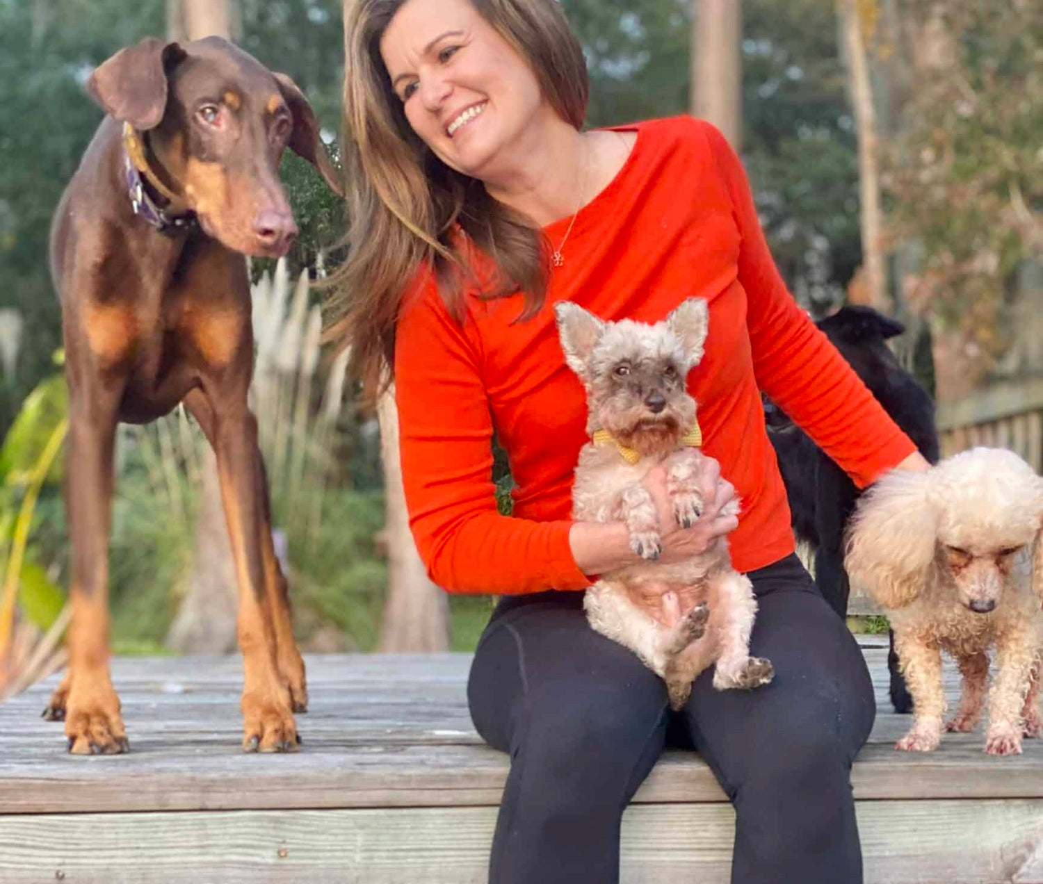 Woman in an orange sweater sitting on a wooden bench with three dogs in a park-like setting.