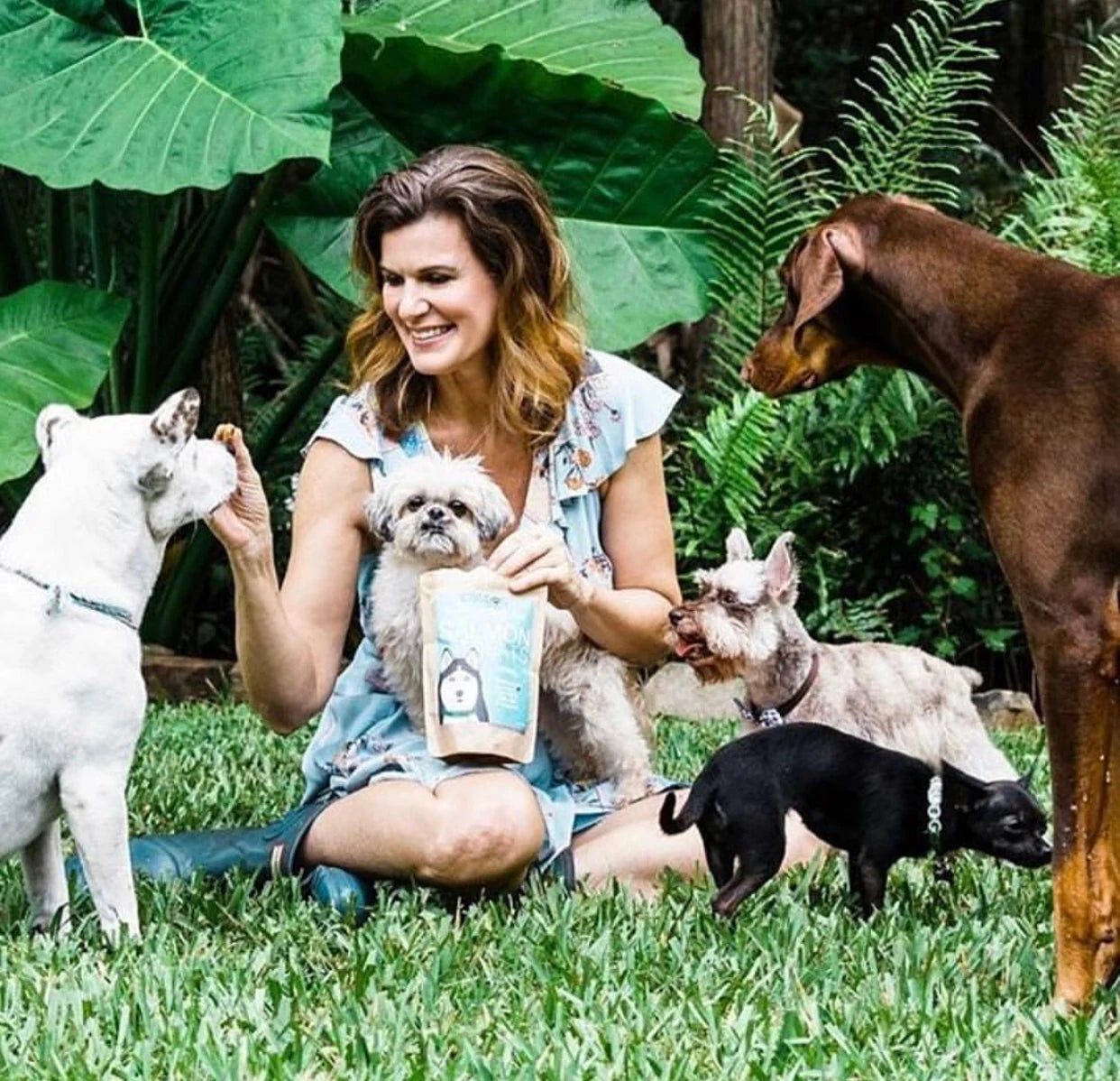 Angela Ardolino Your Natural Dog Podcast CBD Dog Health MycoDog mushrooms