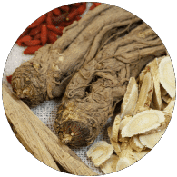 astragalus root for dogs