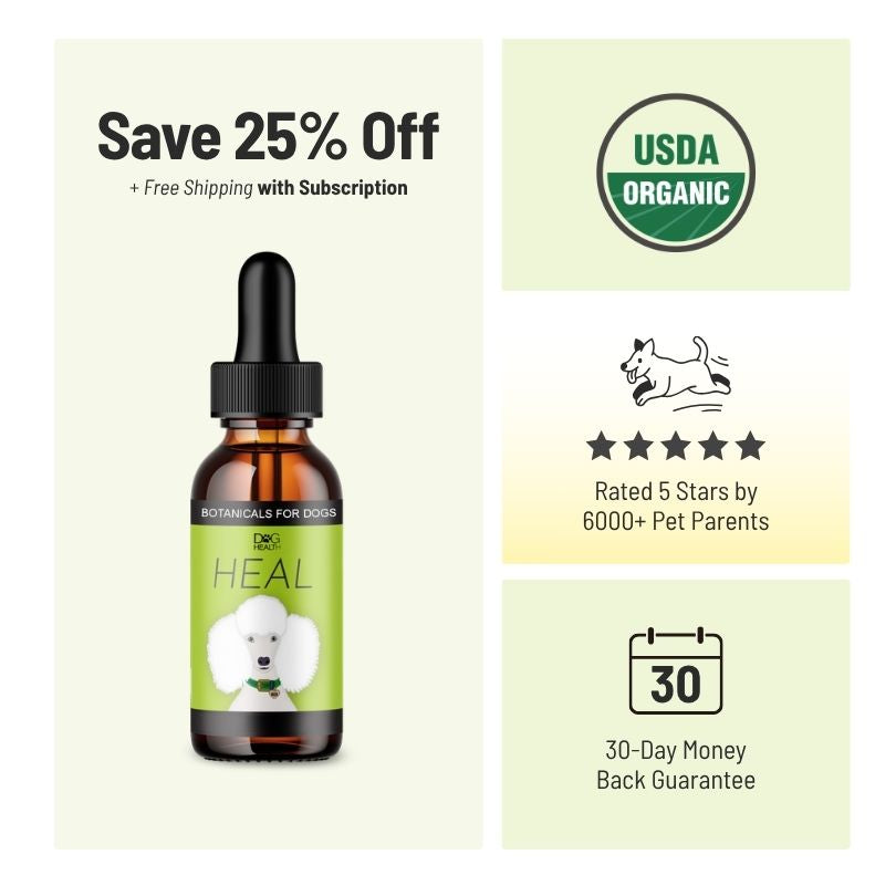 HEAL: Immune & Inflammatory Balance for Dogs
