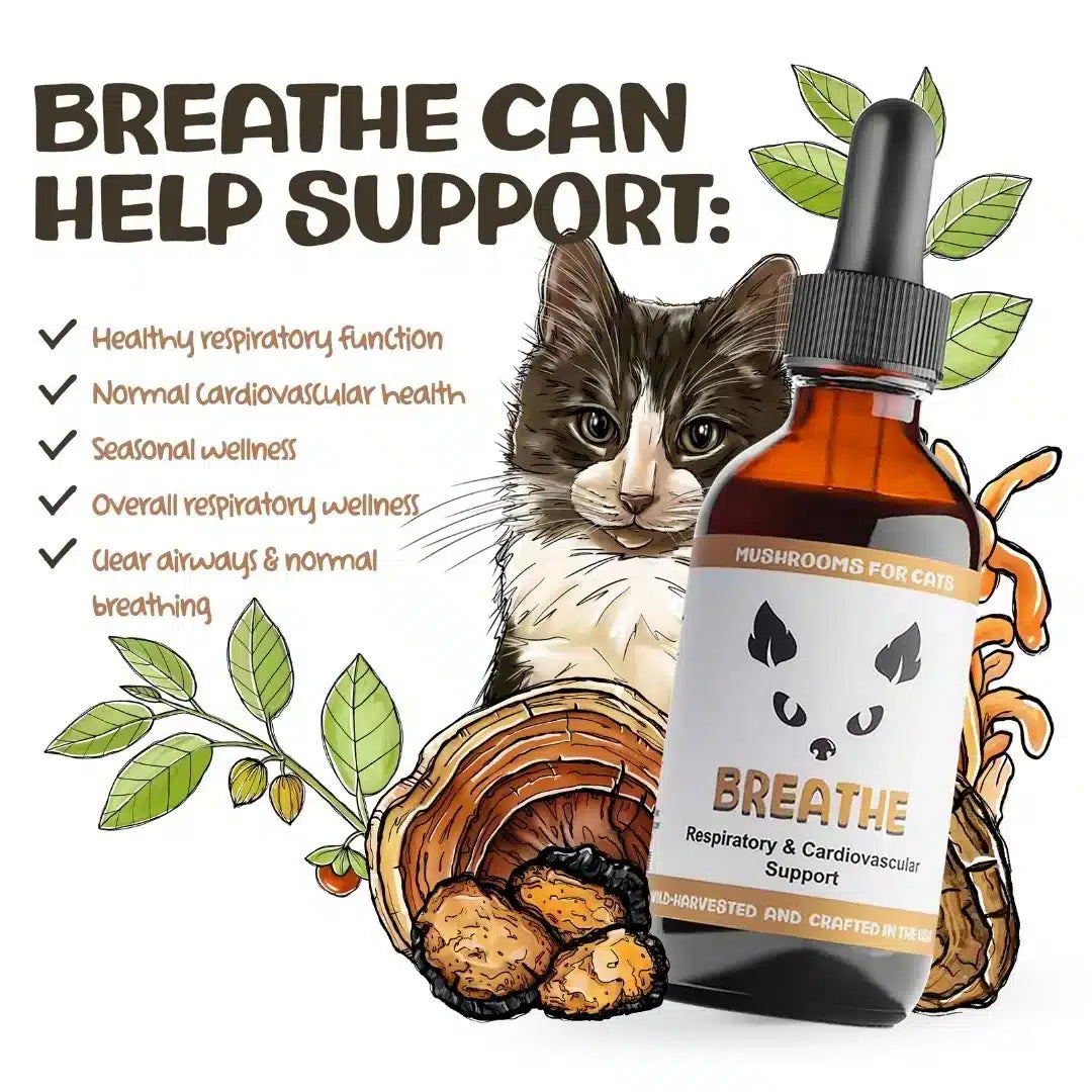 MycoCat Breathe: Respiratory & Cardiovascular Support - Image 3

