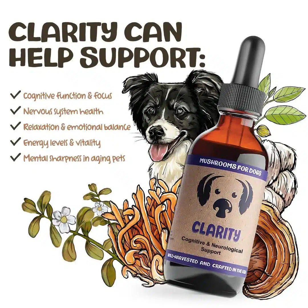 clarity for dogs benefits
