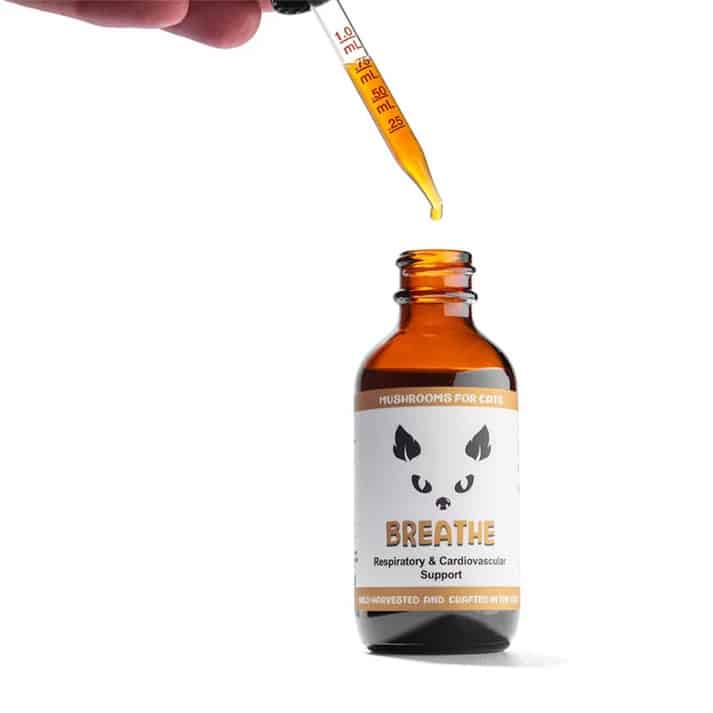 MycoCat Breathe: Respiratory & Cardiovascular Support - Image 4