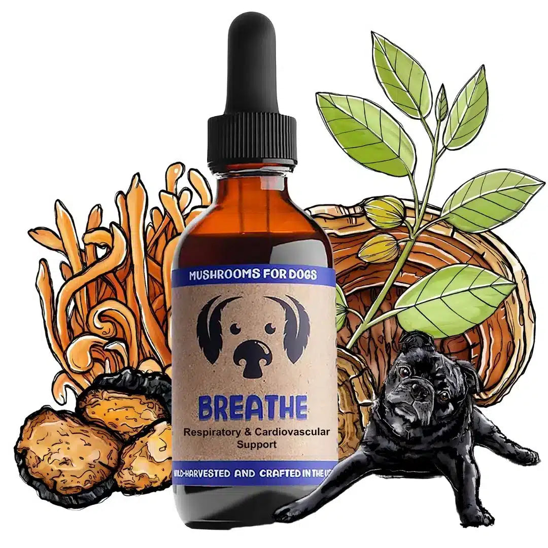 MycoDog Breathe: Respiratory & Cardiovascular Support - Image 6