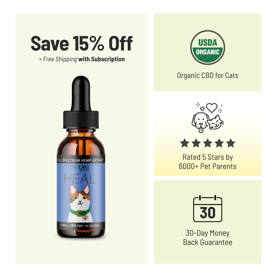 HEAL: Immune & Inflammatory Balance for Cats