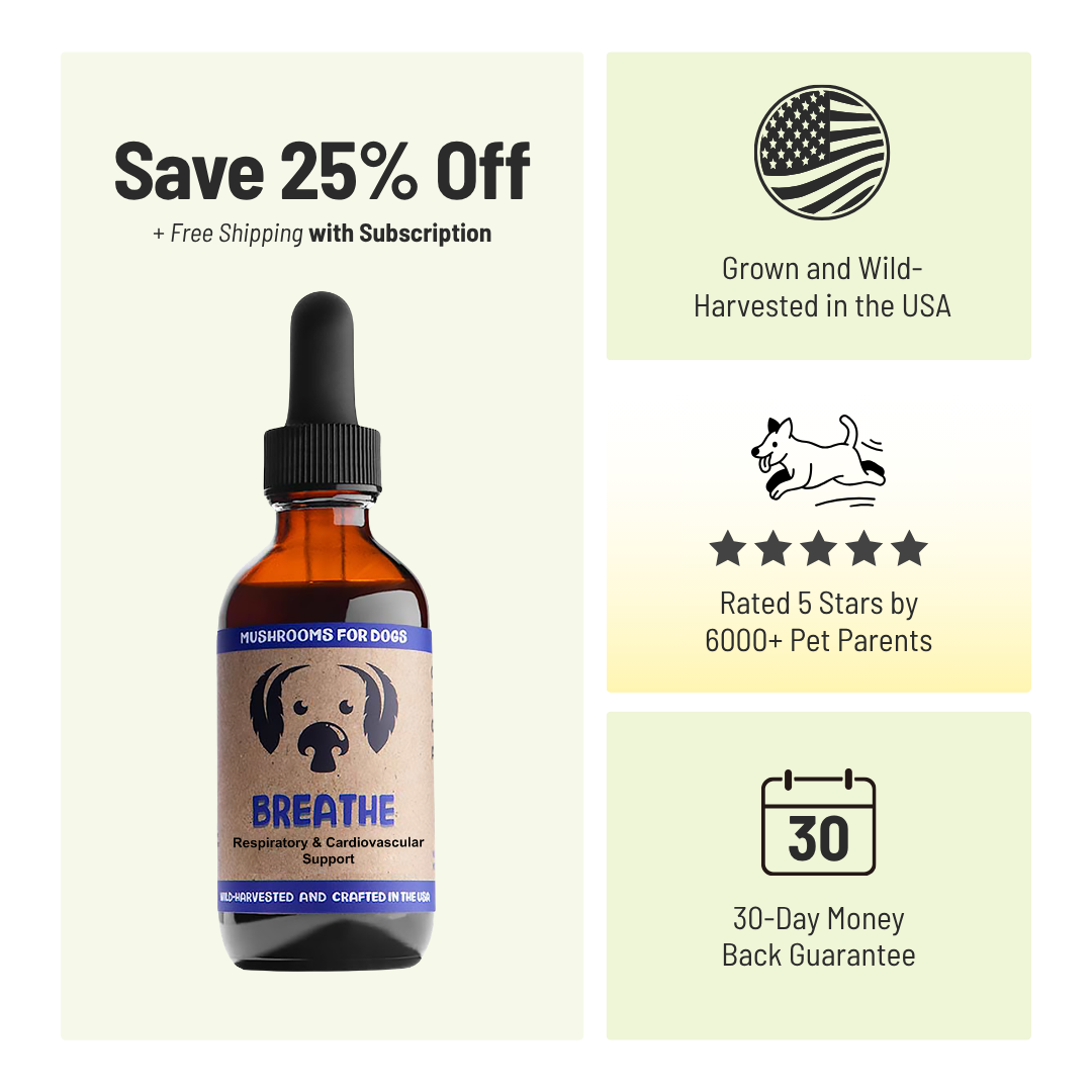MycoDog Breathe: Respiratory & Cardiovascular Support