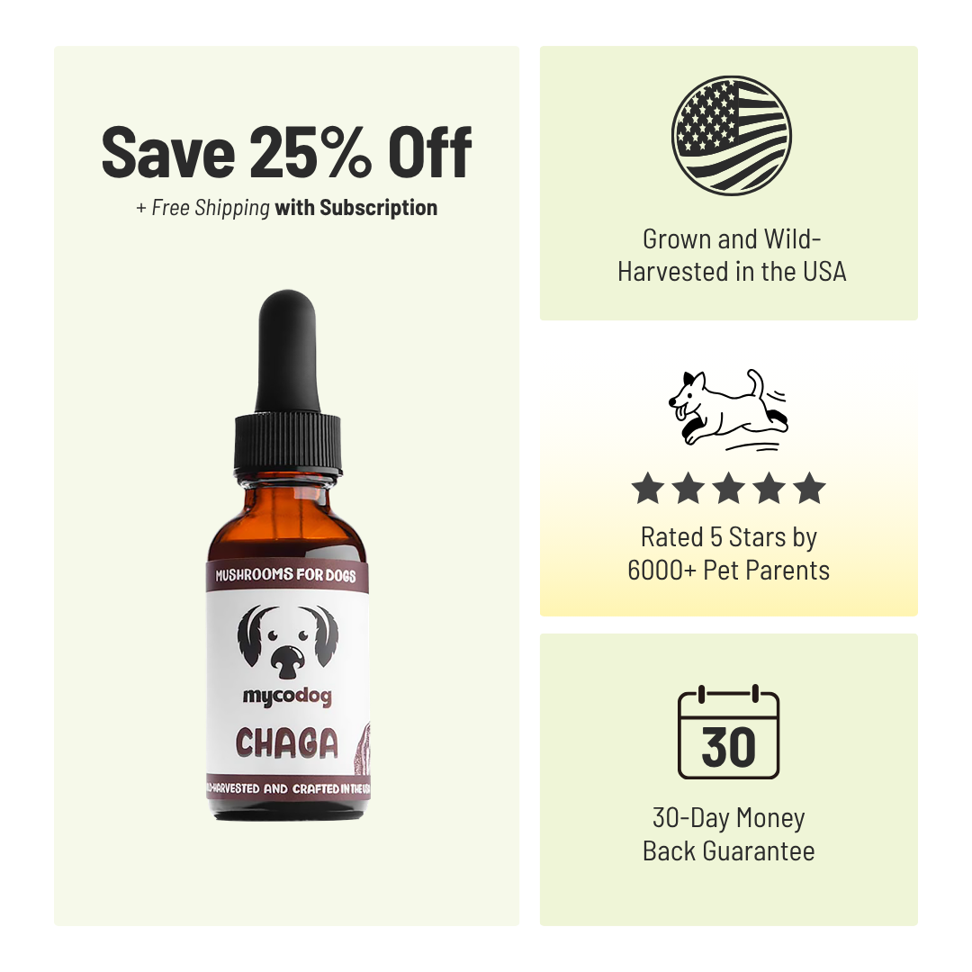 MycoDog Chaga: Cellular Health, Immune Function, & Overall Vitality