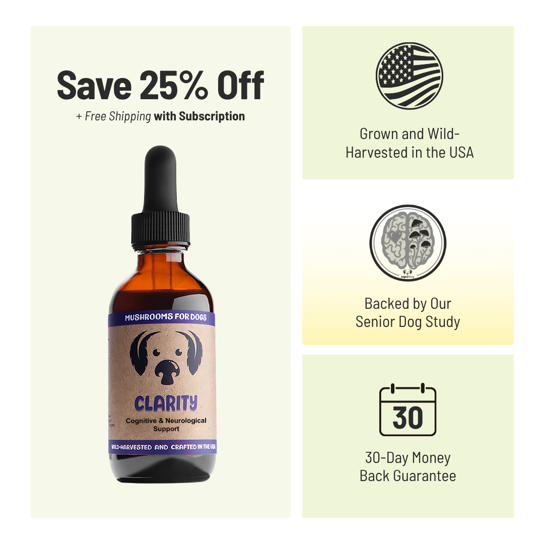 MycoDog Clarity: Cognitive & Neurological Support