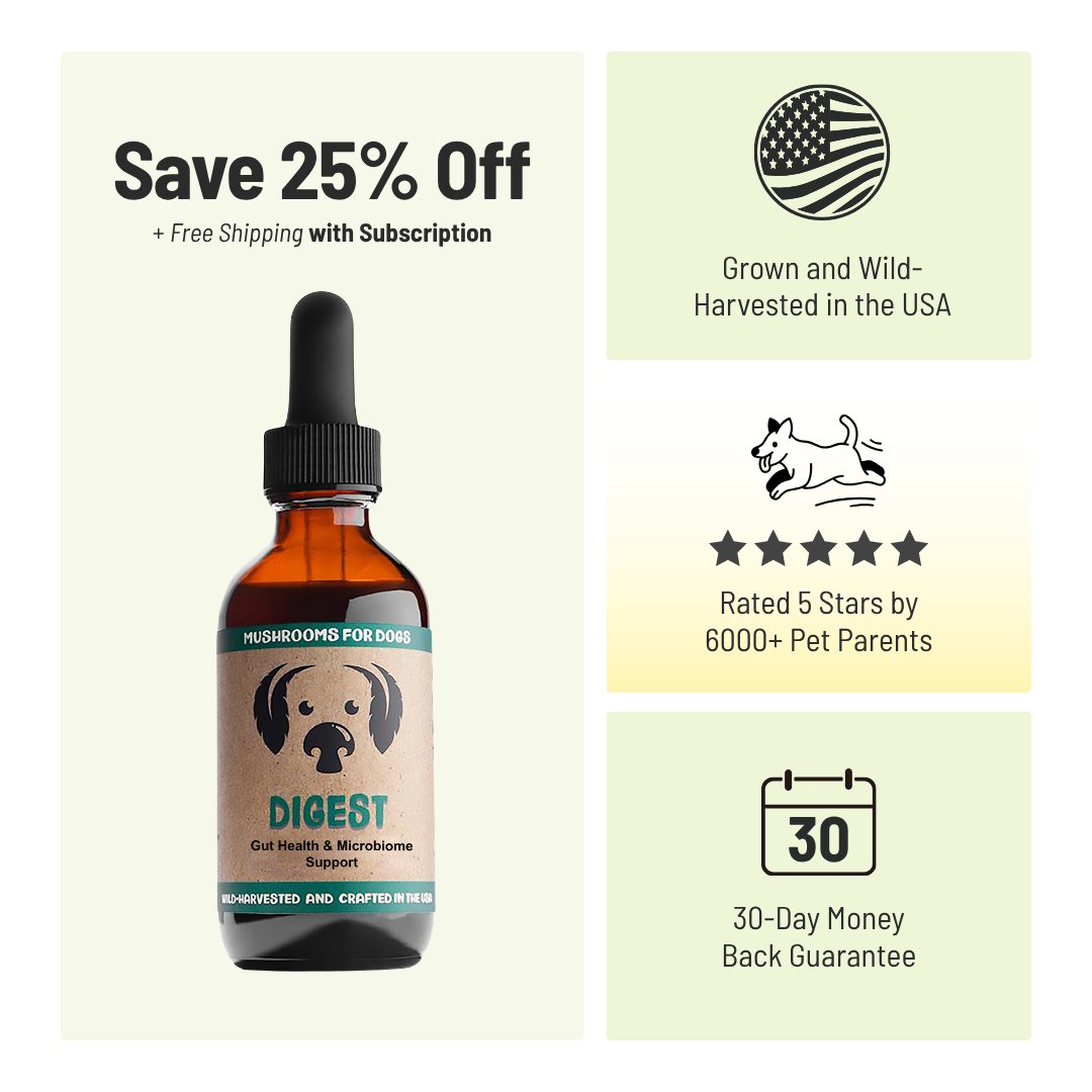 MycoDog Digest: Gut & Microbiome Support