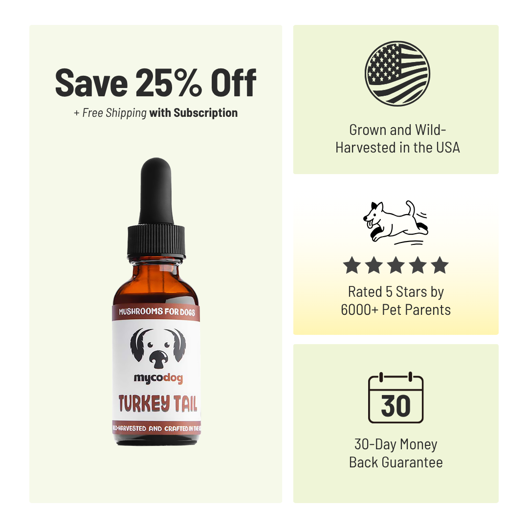 MycoDog Turkey Tail: Immune Health