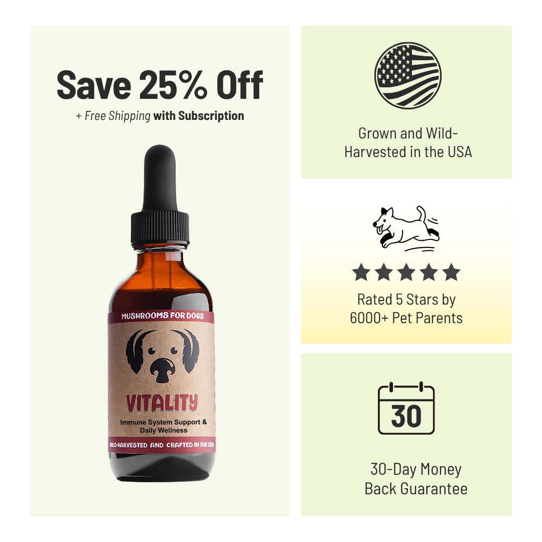 MycoDog Vitality: Immune & Overall Health