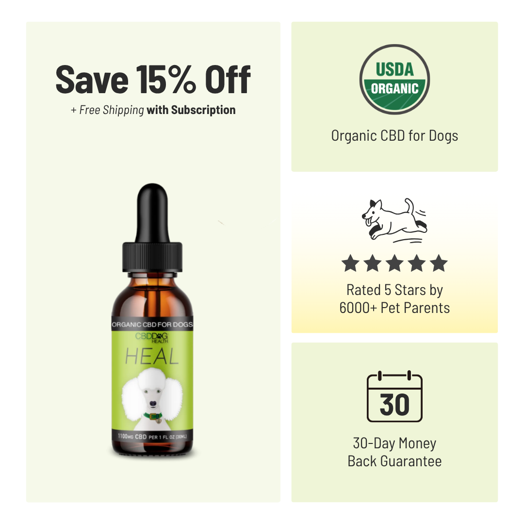 HEAL: Immune & Inflammatory Balance for Dogs