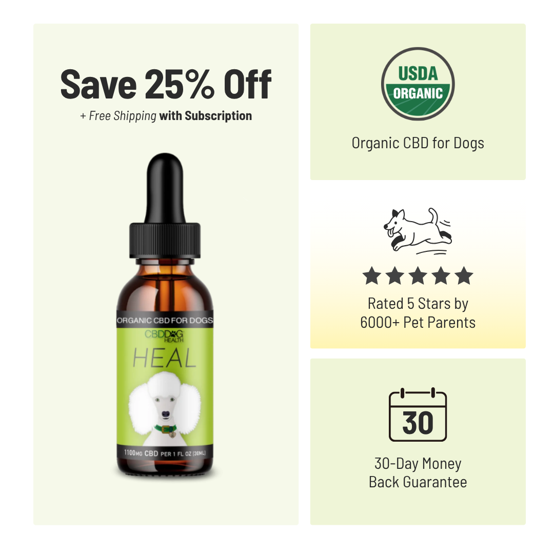 HEAL: Immune & Inflammatory Balance for Dogs
