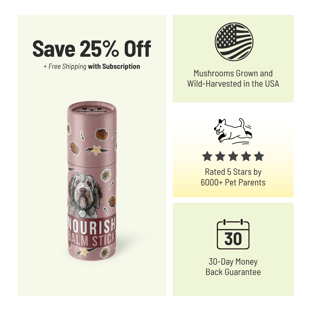 Nourish Balm Stick: Skin + Paw Care